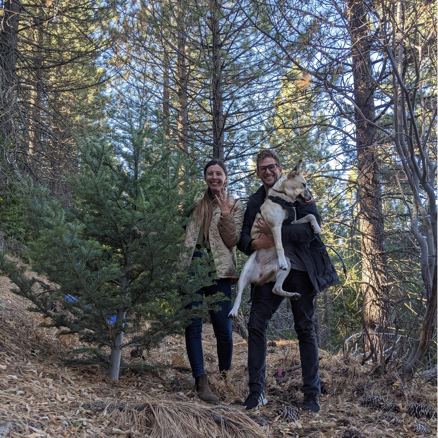 Immediately after she said "Yes"!