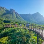 Kirstenbosch Garden