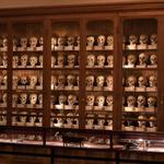 The College of Physicians of Philadelphia - Mutter Museum