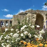 Mission San Juan Capistrano