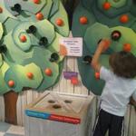 Miami Children's Museum