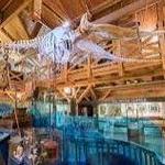 North Carolina Maritime Museum in Beaufort