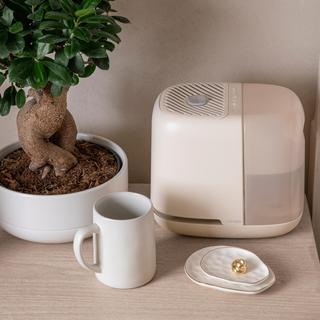 Humidifier