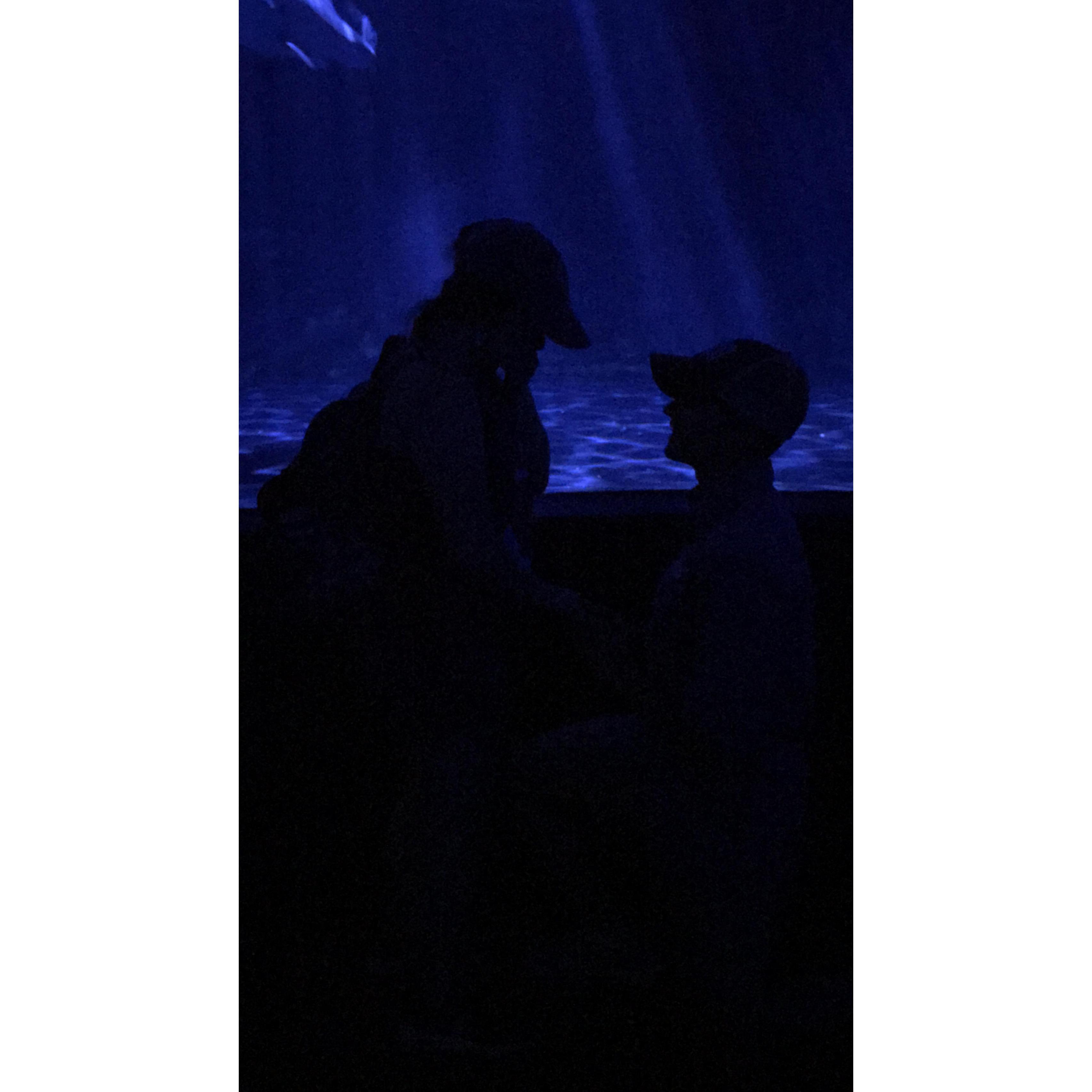 He proposed in a shark tank!