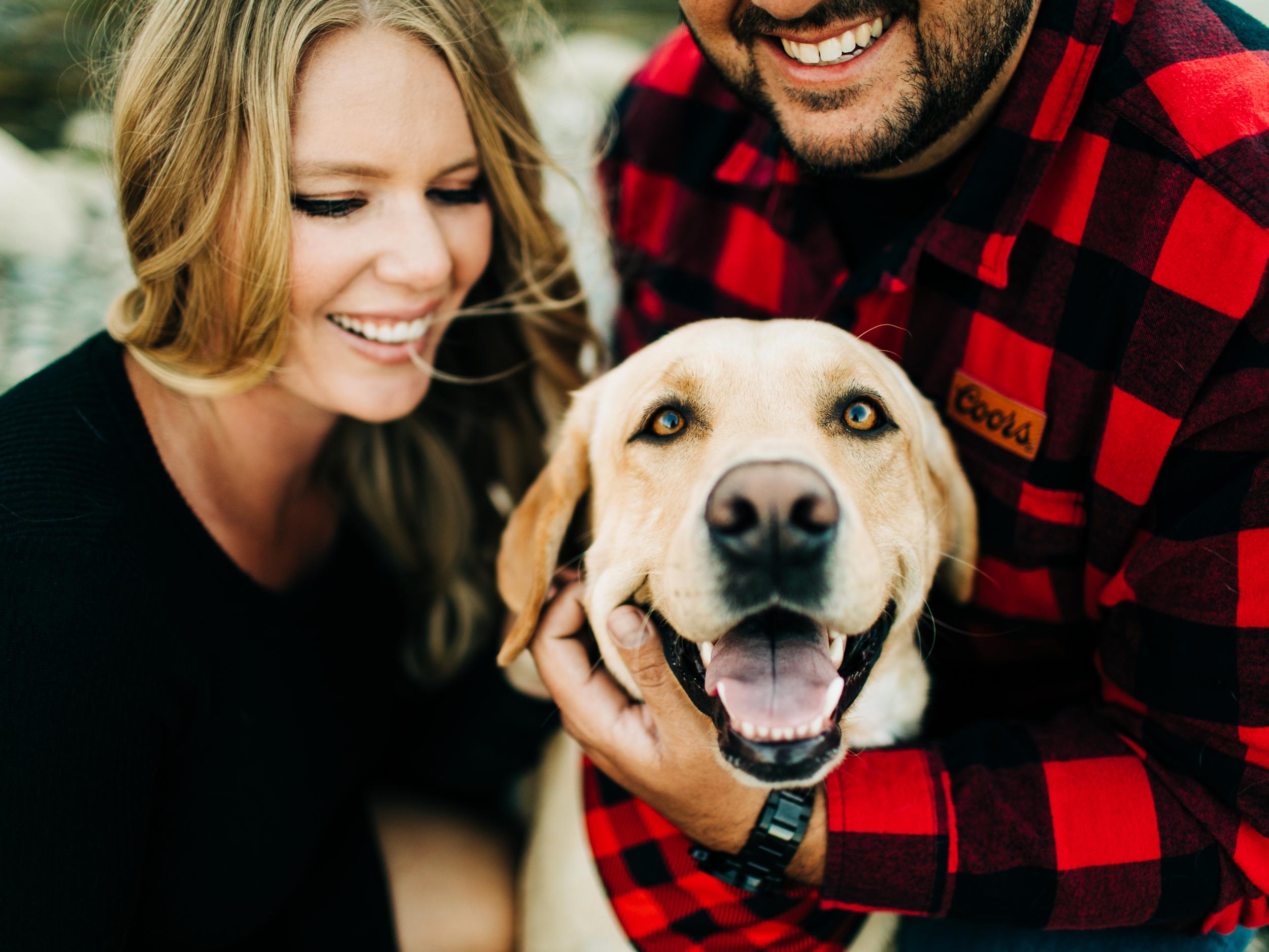 The Wedding Website of Heidi Fey and Christopher LaPoint