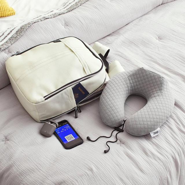 Travel Memory Foam Neck Pillow - Sealy