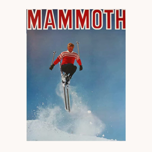 Ski Passes