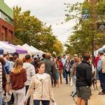 Festifall (fun fall festival on Saturday, 28th from 1-6pm on Franklin Street)