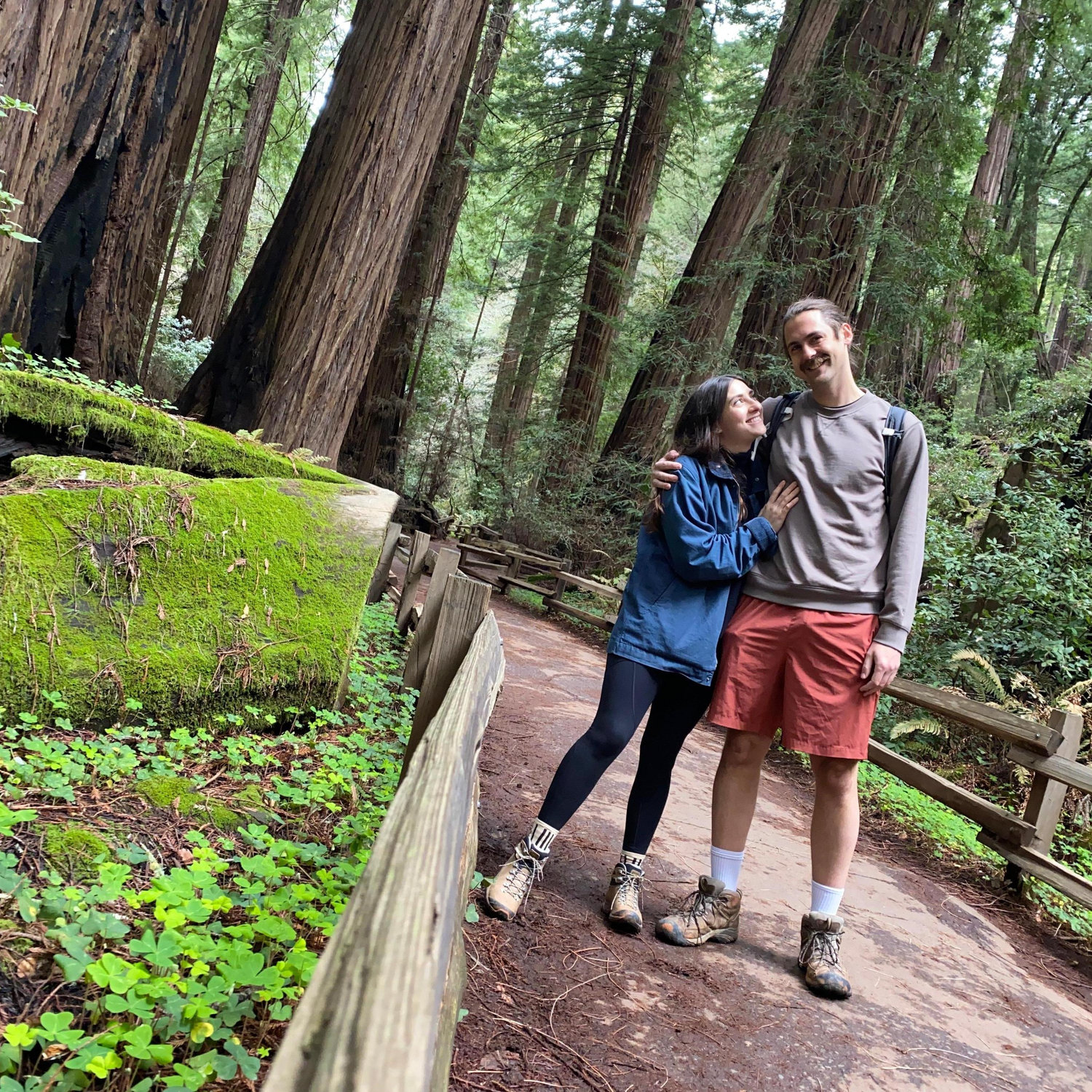 Pandemic roadtrip to Muir Woods