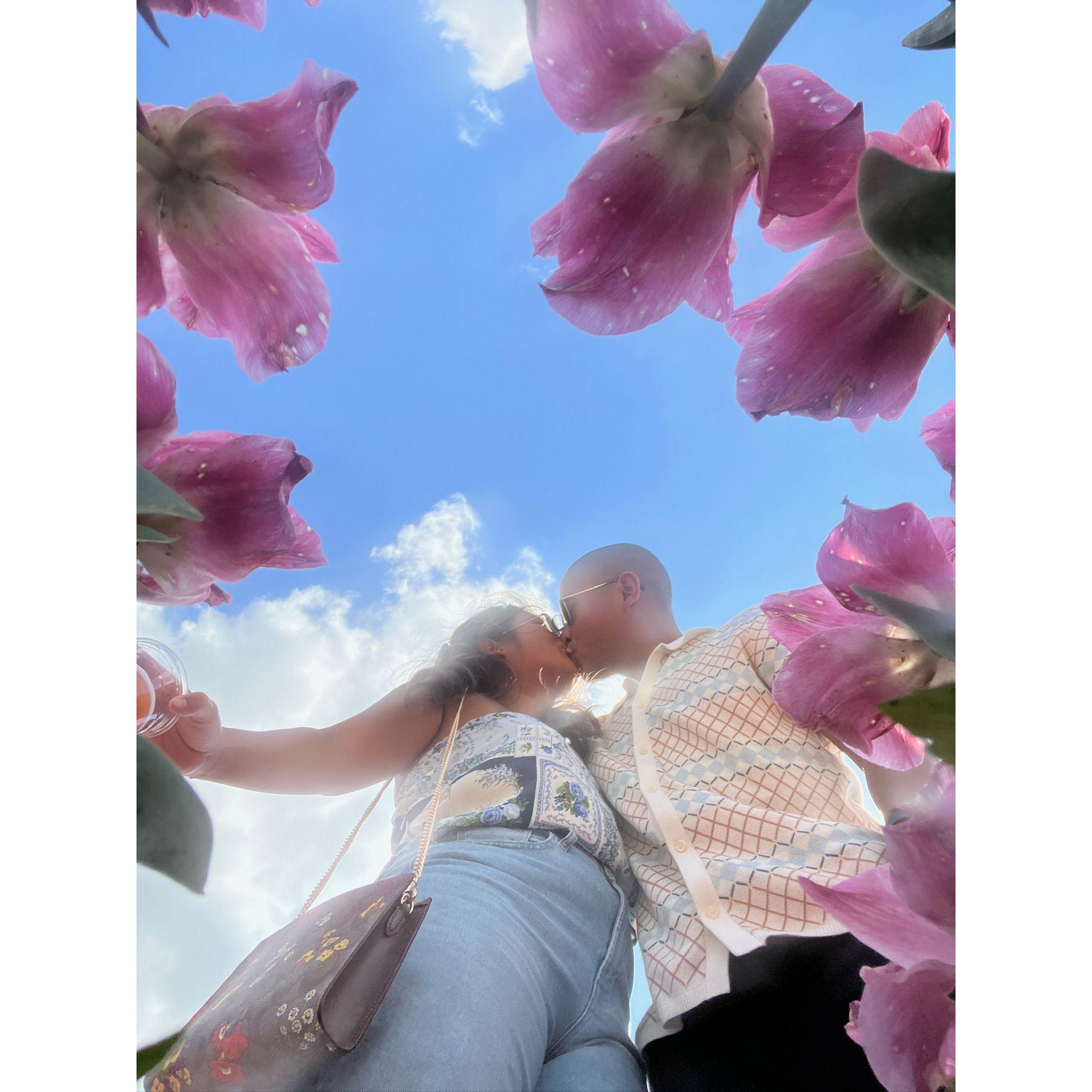 Trip to the tulip fields