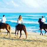 ✨Punta Cana Beach Horseback Riding