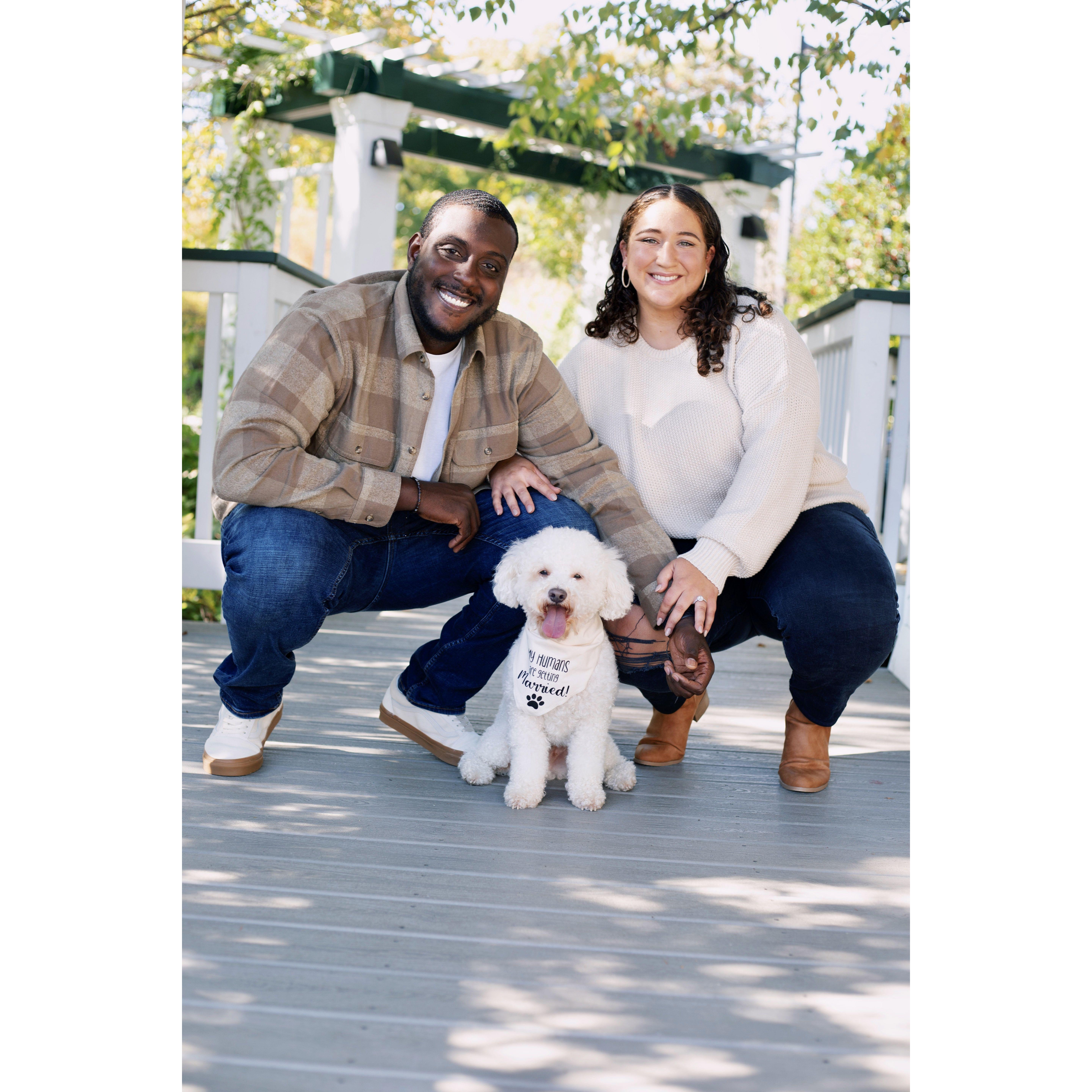My humans are getting married!