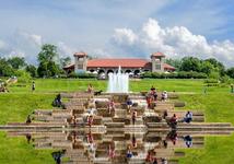 Forest Park
