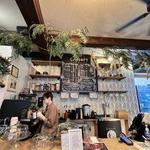 Canopy and the Roots Coffee