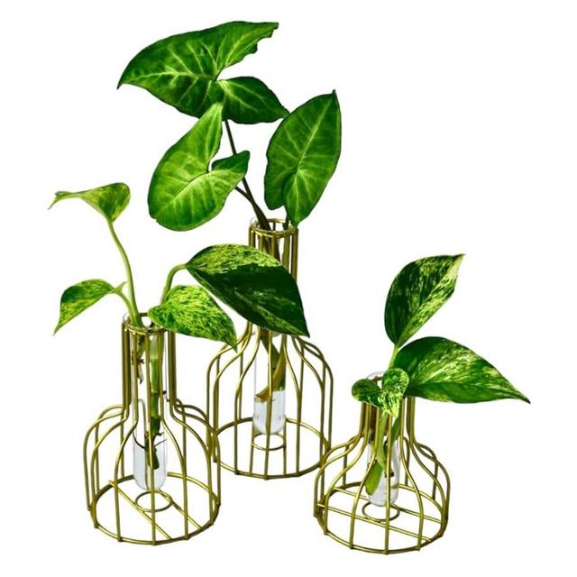 Propagation Vases for Plants | Set of 3 Plant Propagation Stations with Plant Starter Glass Tubes| Propagation Station for Home, Office or Gifting | Perfect Plant Propagation Vase Set