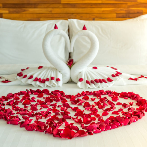 Contribute to our honeymoon!
