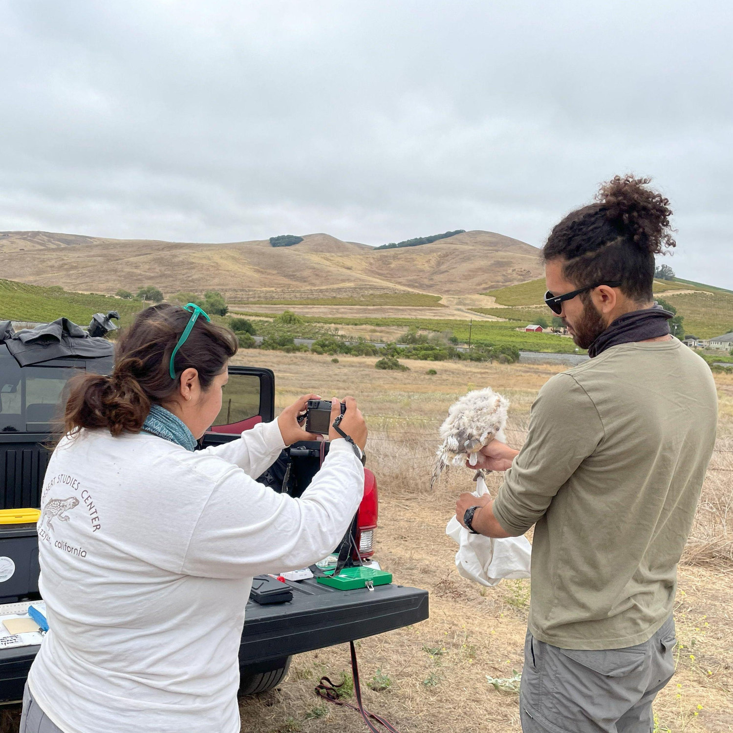 Spring 2022: We helped each other with our data collection for our master's research. We are in Napa, CA, working on Christian's project with the Barn Owls.