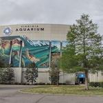 Virginia Aquarium & Marine Science Center