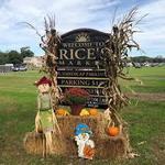 Rice's Market