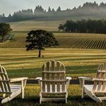 Wine Country