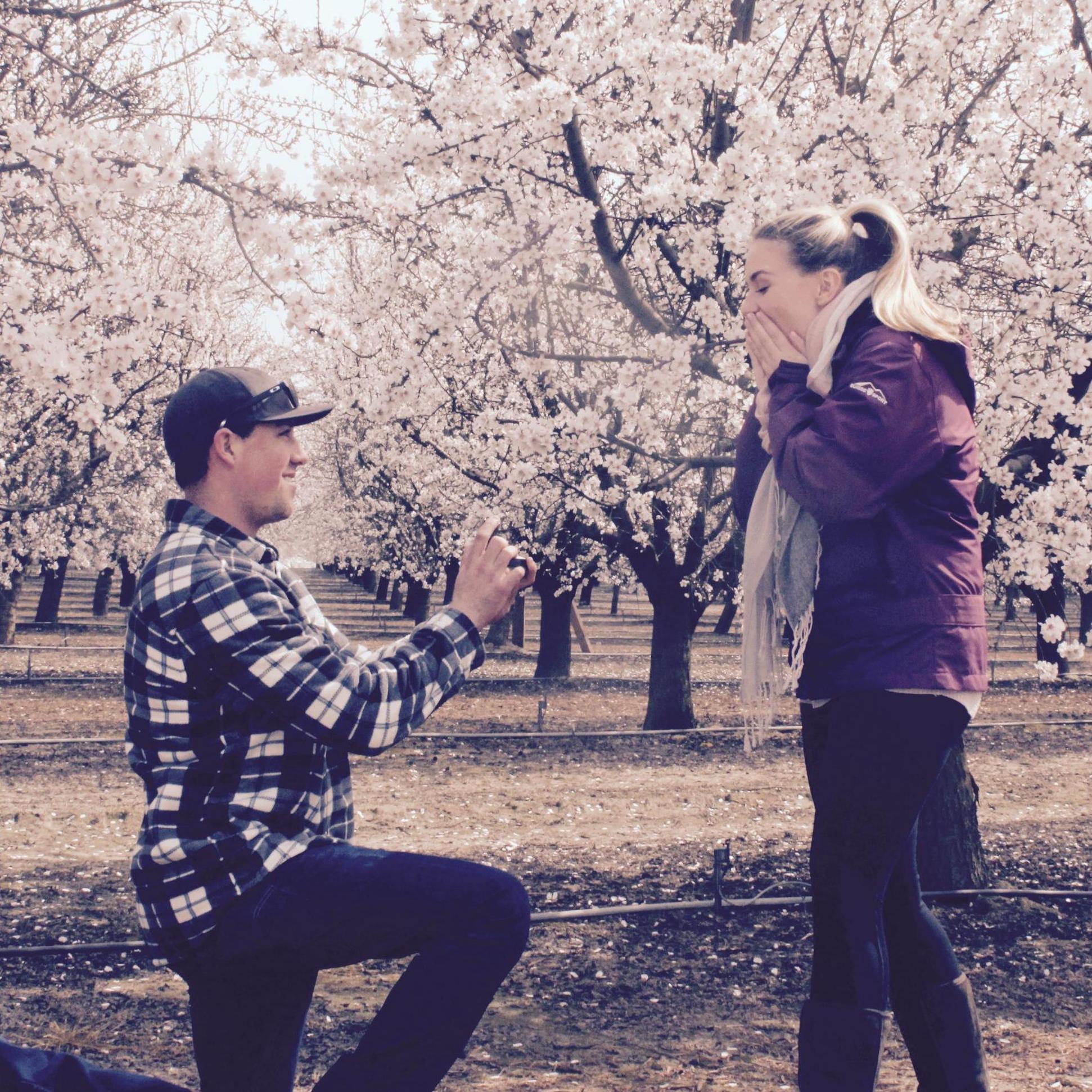 The Proposal-Cherry Blossom Field