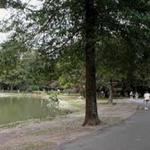 Saddle River County Park-Wild Duck Pond Area