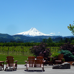 Mt. Hood Winery