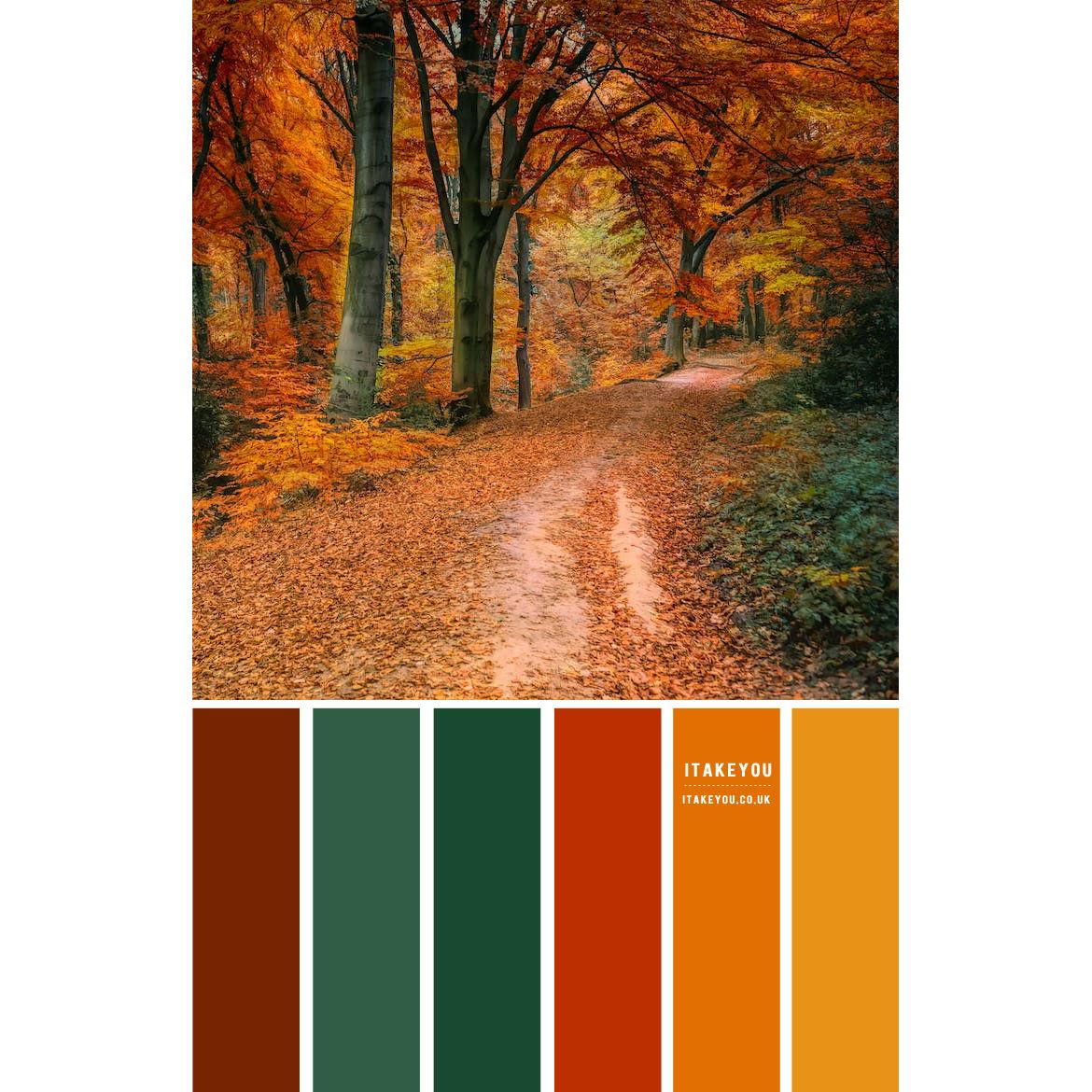 Our Wedding colors