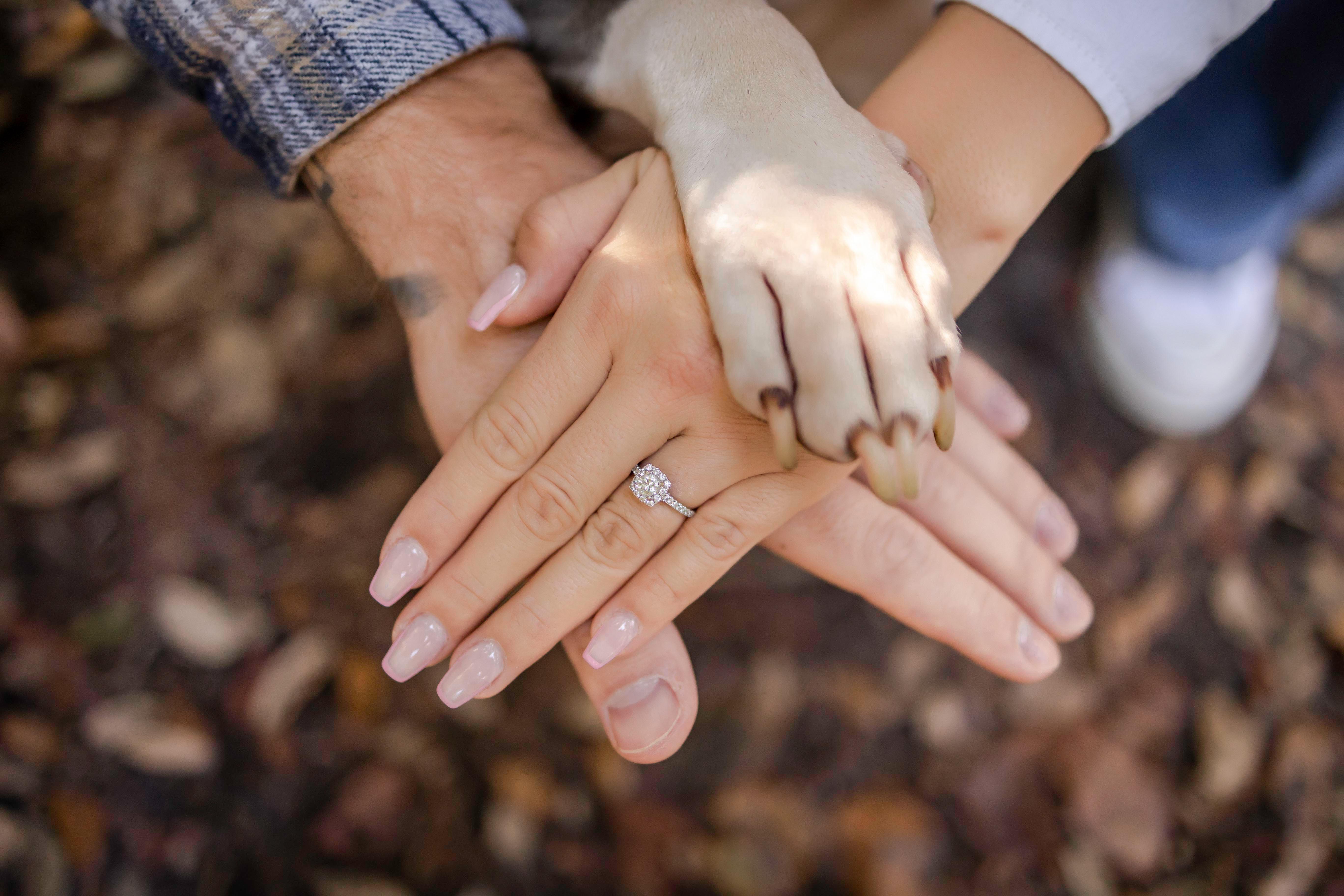 The Wedding Website of Laura Veira and Anthony Urso