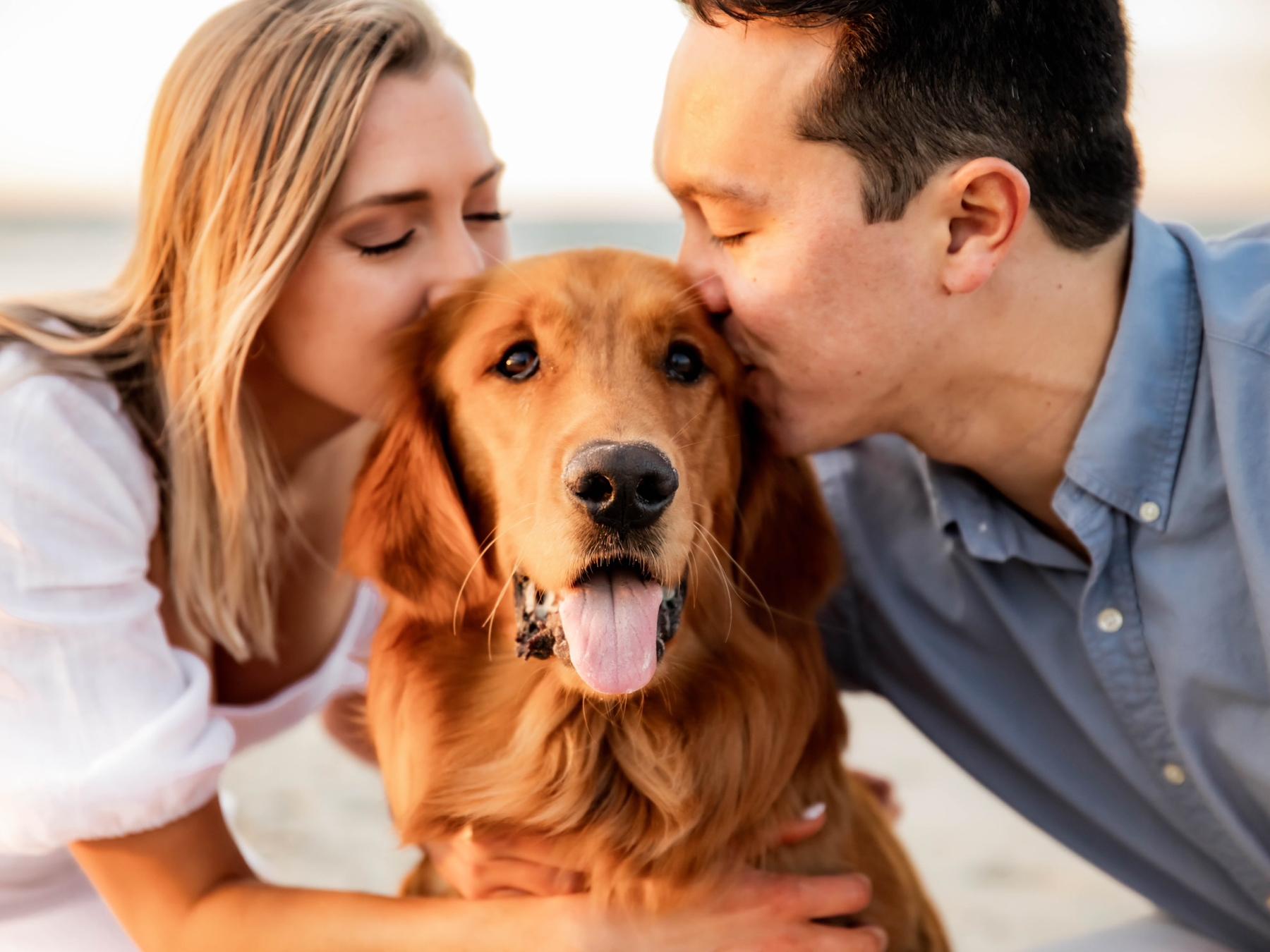 b8fab1d5-c997-473c-af7e-e6bdd4def847