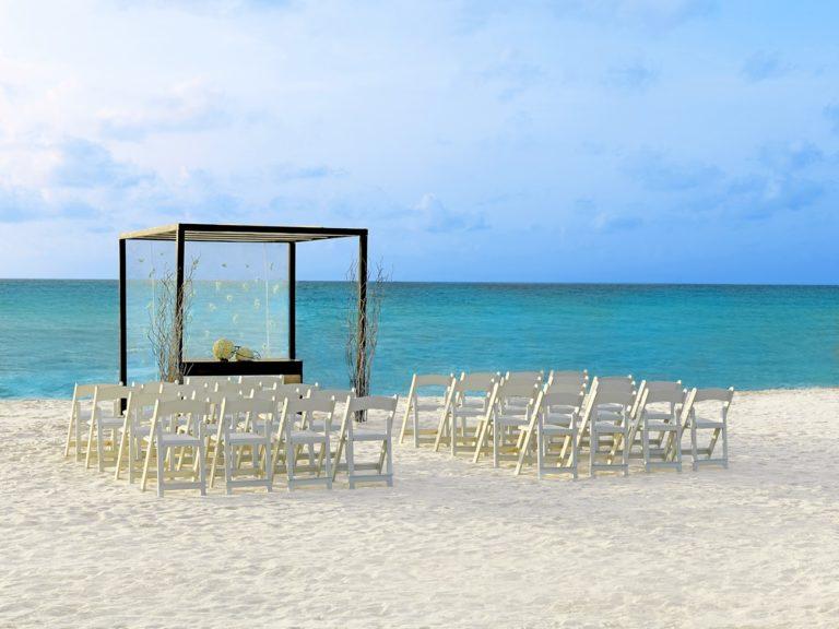 The Wedding Website of Diethra Clare and Oscar Laporte
