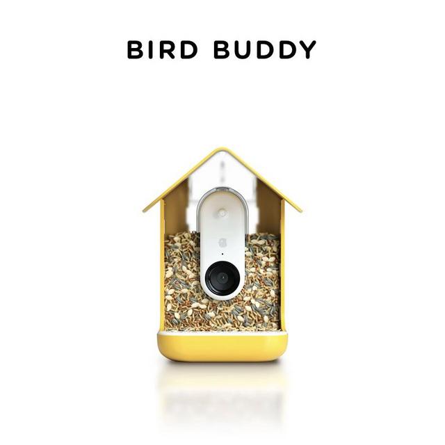 Bird Buddy with Solar Roof