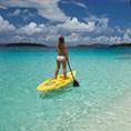 Virgin Islands Ecotours
