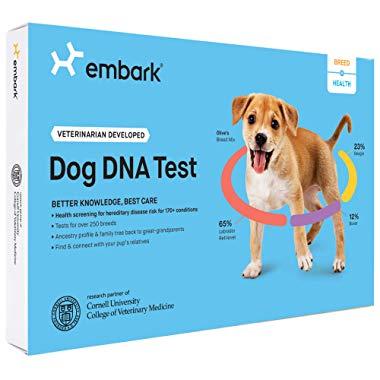 Embark | Dog DNA Test | Breed & Health Kit | Breed Identification & Canine Genetic Health Screening
