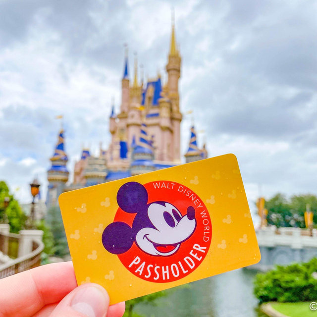 Disney Passes Fund