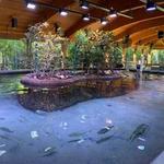 Gumbo Limbo Nature Center