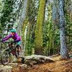 Mills Peak Trail