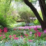 Berkshire Botanical Garden