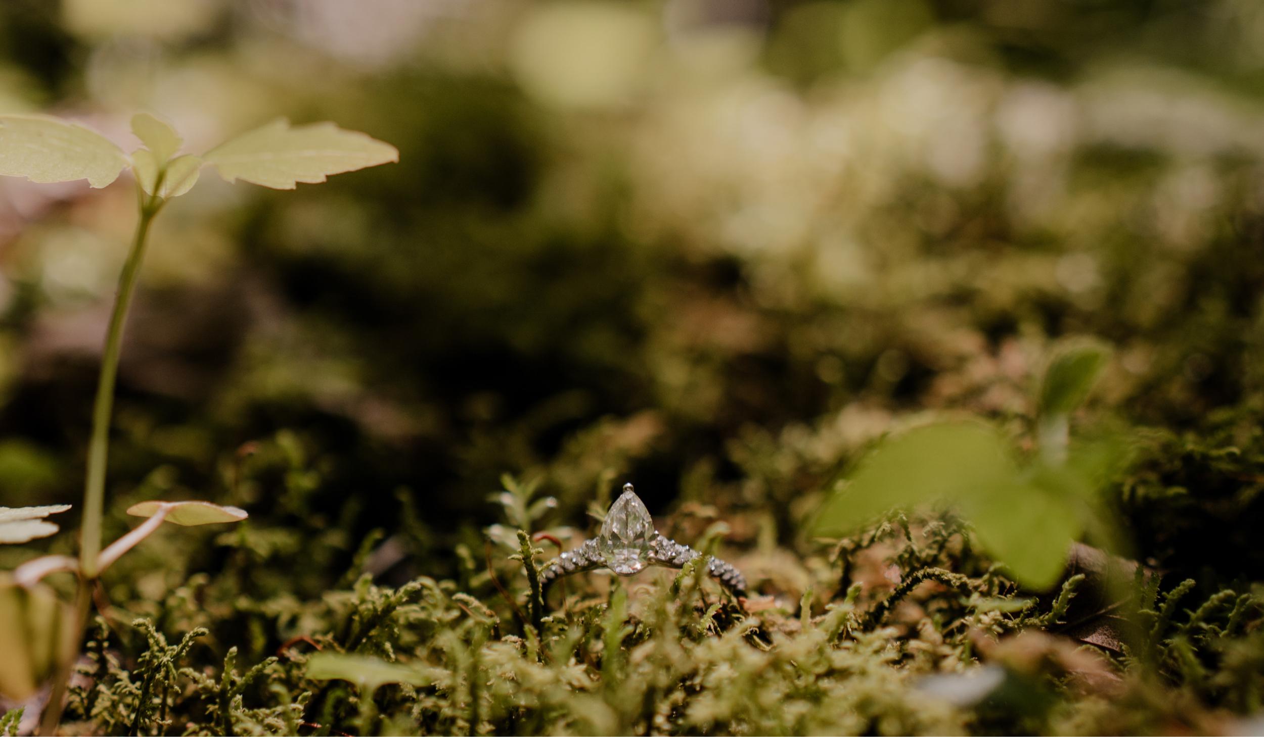 The Wedding Website of Rebecca Harding and Jacob Grieco