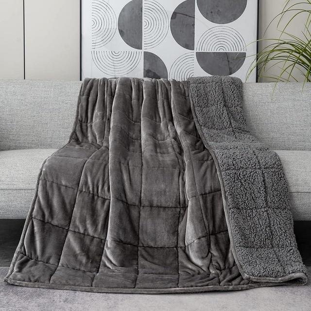 Kaisa Weighted Blanket 15 pounds Queen Size for Adults, Sherpa Fleece Heavy Blankets Fuzzy Hug Blankets, Flannel Sofa Bedding Throw Blanket, Idea Gifts for Adults Birthday, 60x80 Inches, Gray