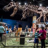 Orlando Science Center
