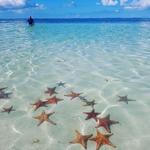Starfish Point