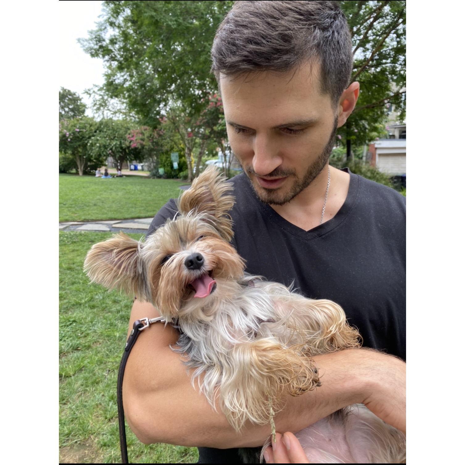 Dom's faves