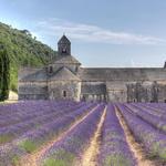 Abbaye Notre-Dame de Sénanque