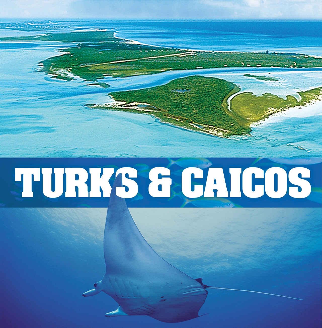 The Wedding Website of Arrielle Davidson and Dijon Davidson