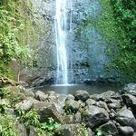 Manoa Falls Trail