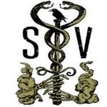 Sundry and Vice