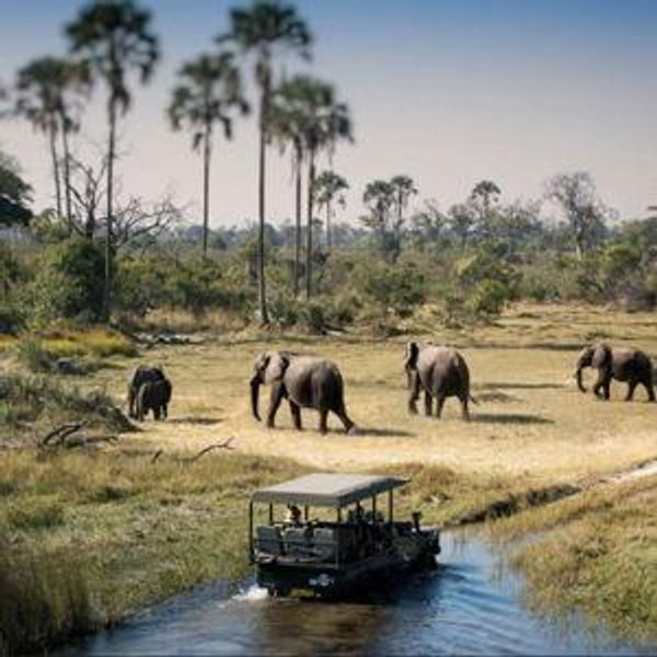 Chobe National Park Full Day Safari Trip for Two