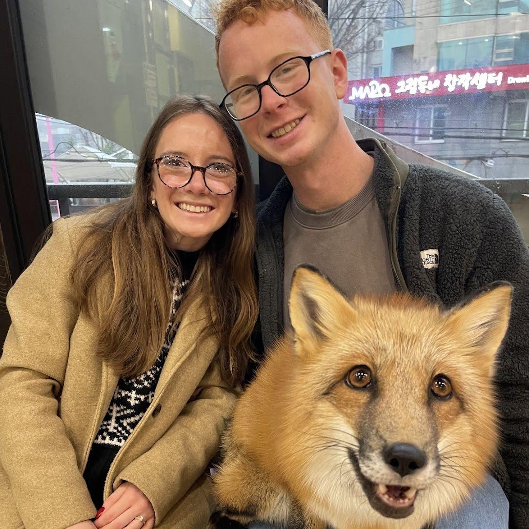 Animal cafe in Korea