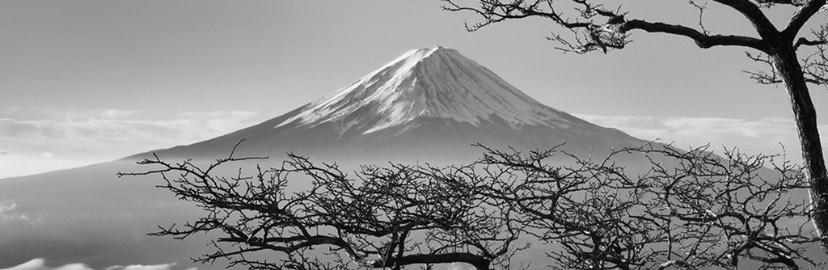 b9079c96-f517-4c6c-8417-817459531eba